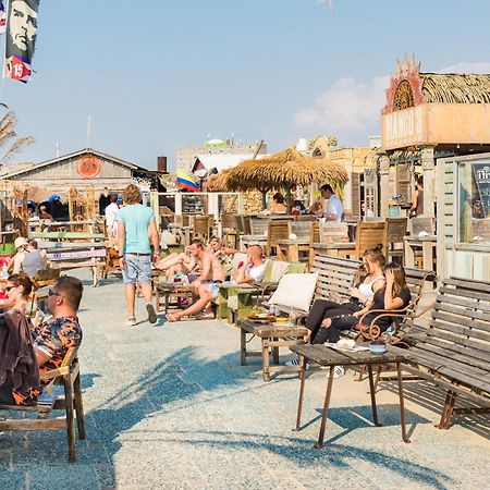Albatros Aan Zee - Apartment Zandvoort Bagian luar foto