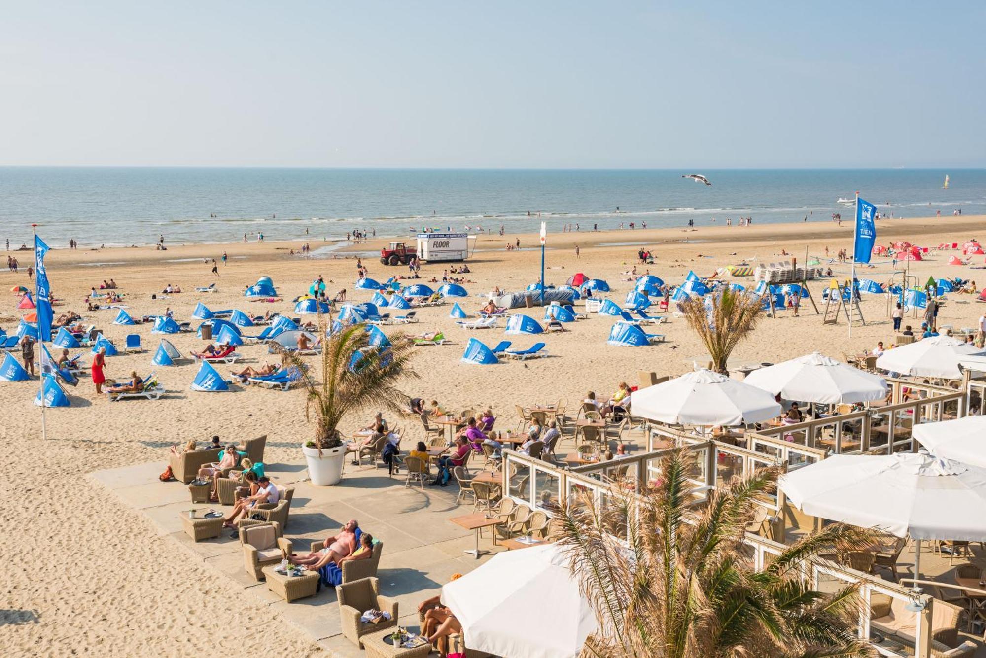 Albatros Aan Zee - Apartment Zandvoort Bagian luar foto