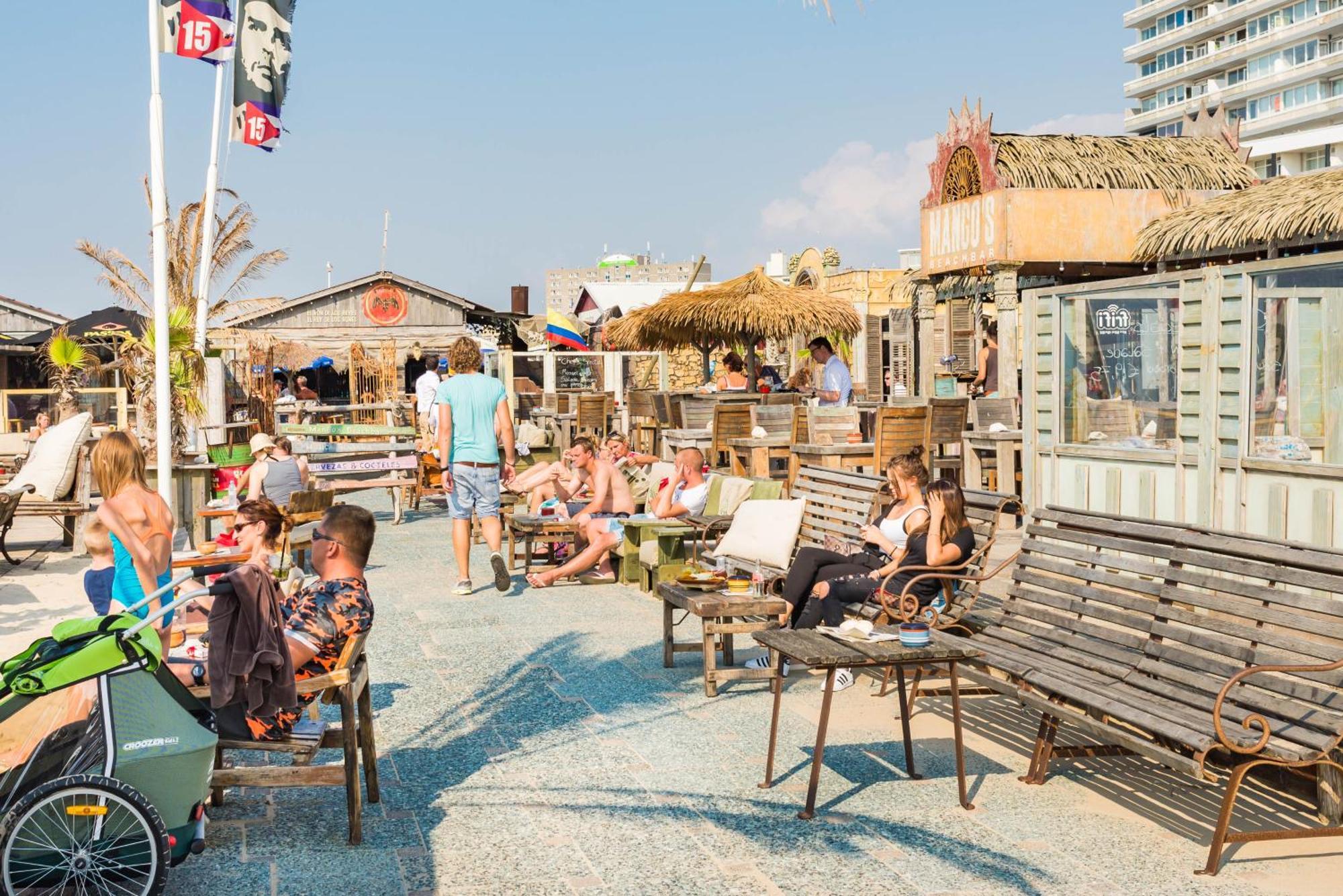Albatros Aan Zee - Apartment Zandvoort Bagian luar foto